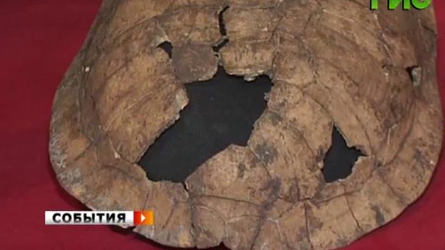 Самарские археологи смотреть онлайн