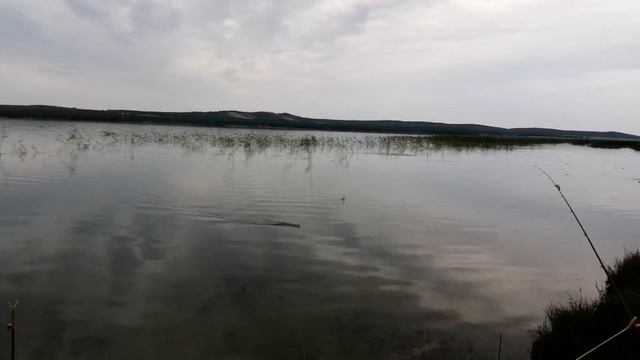 Лапти-караси дали жару. Рыбалка, вечерка, озеро Байсары. смотреть онлайн