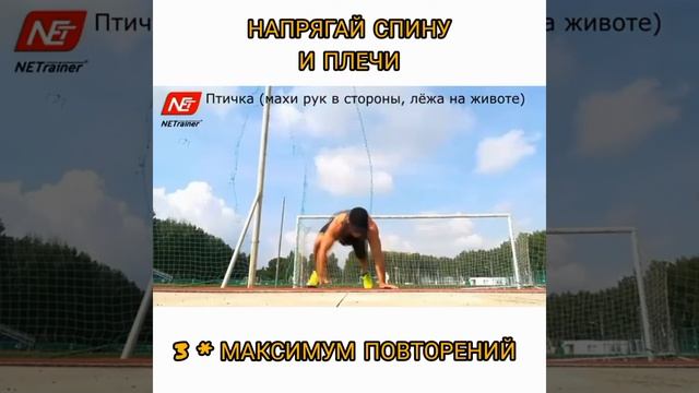 Тренировка на верх тела для мужчин и женщин смотреть онлайн