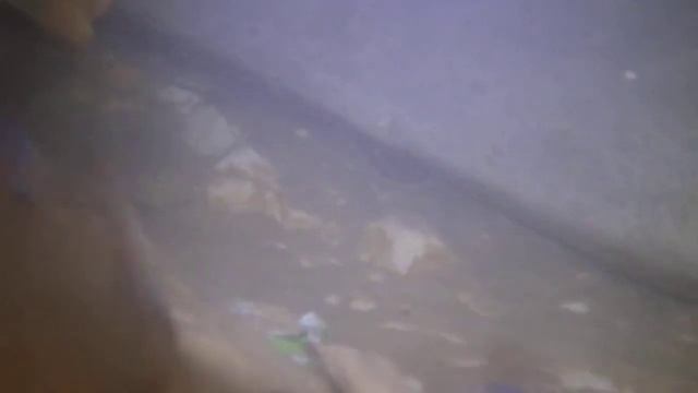 Подводная съёмка Pentax WG3 GPS смотреть онлайн