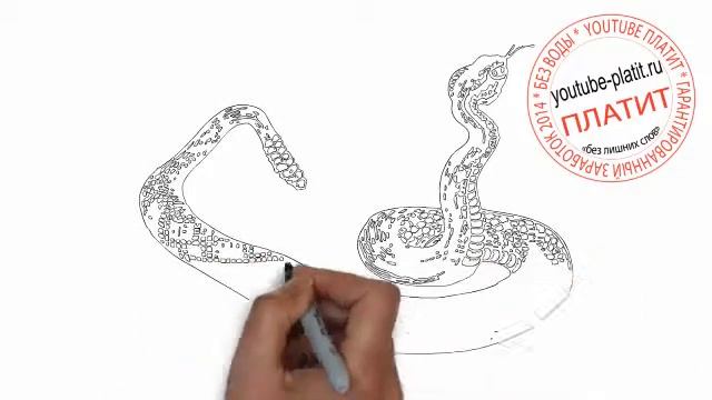 Как нарисовать карандашом злую гремучую змею смотреть онлайн