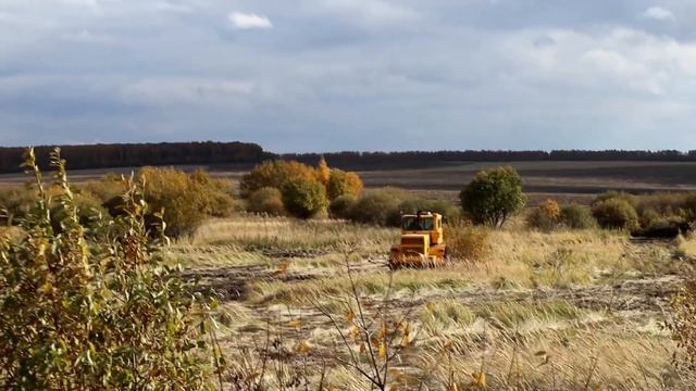 Продолжаем расчистку залежных земель. смотреть онлайн