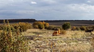 Продолжаем расчистку залежных земель.