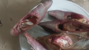 САМЫЙ ВКУСНЫЙ И ЛУЧШИЙ РЕЦЕПТ ПОСОЛА РЫБЫ! Достал свои запасы рыбы, после зимнего сезона.