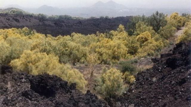 Malinconia ninfa gentile - Rosa Wol, soprano смотреть онлайн