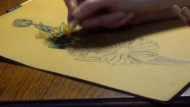 How to draw a flower : GAILLARDIA. Урок рисования : Рисуем гайллардию. смотреть онлайн