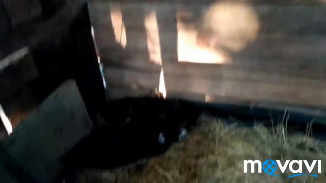 Наши новые жители! Молодые уточки которых зовут Зита и Гита! смотреть онлайн