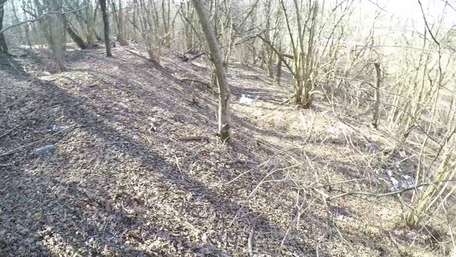 Коп в не понятном лесу смотреть онлайн