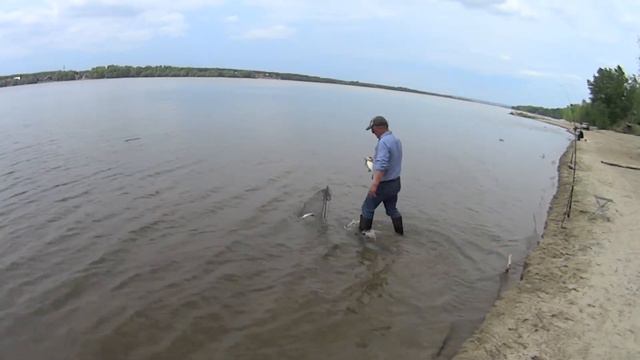 Рыбалка на донки. смотреть онлайн