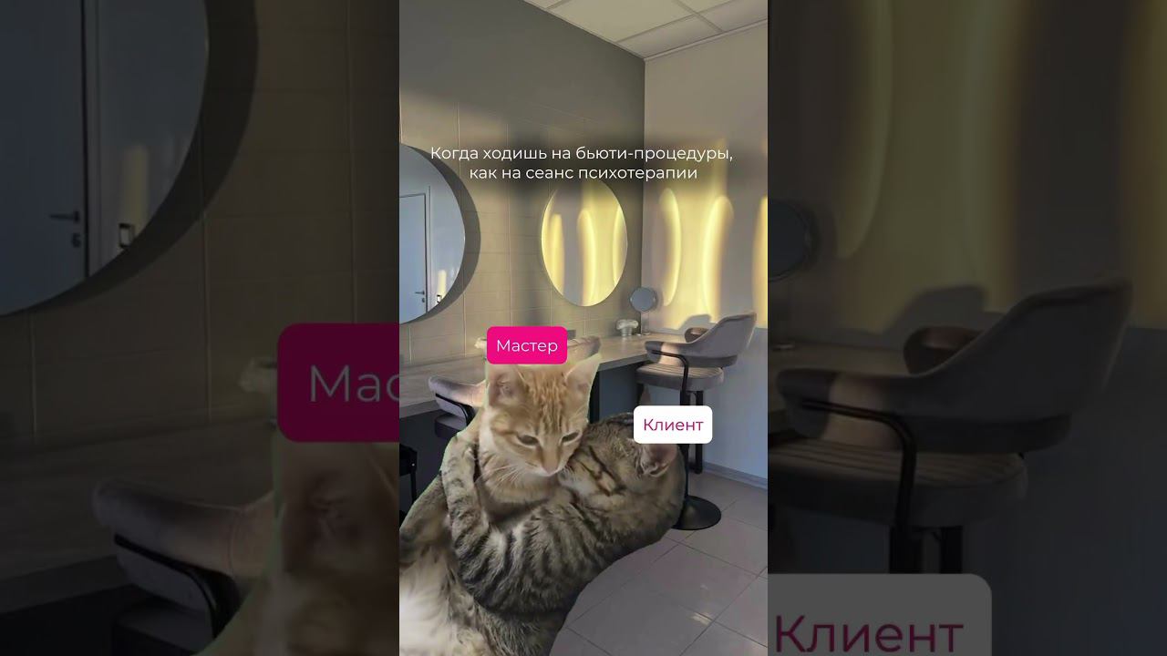 Праада?❤️ больше интересного @KS_lash #бьюти #бьютимастер #бьютиканал #lash смотреть онлайн