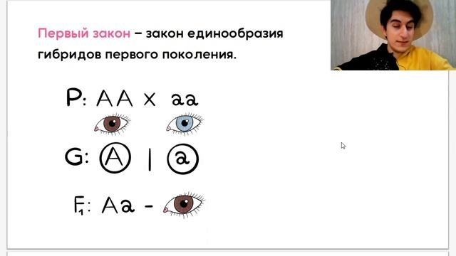 Законы Менделя за 4 минуты | ЕГЭ Биология | Biocoma смотреть онлайн