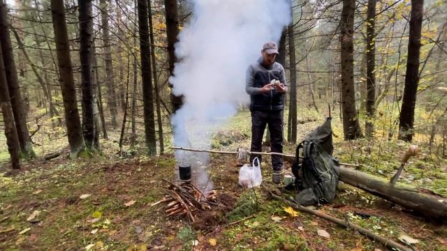 Осенний обед в лесу / Autumn Lunch In The Forest