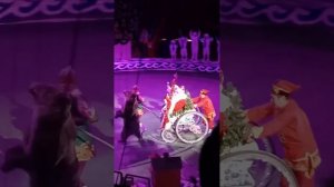 цирк тайна пирата