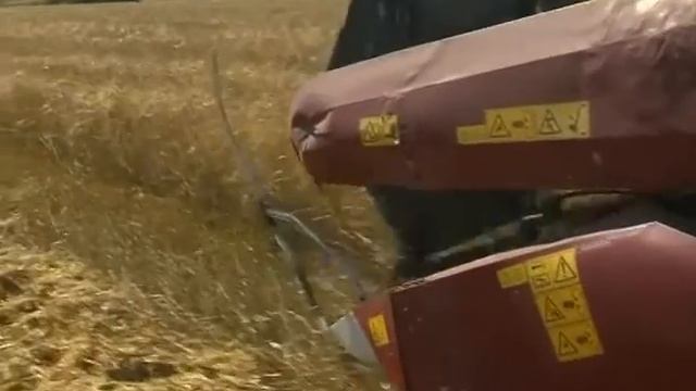Уборка зерновых. Успеть до дождей смотреть онлайн