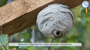 Окружающий мир 2 класс (Урок№21 - Правила безопасности на воде и в лесу. Опасные незнакомцы.)