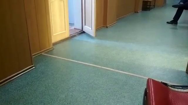 бесплатный адвокат смотреть онлайн