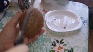 Как открыть кокос просто и быстро дома