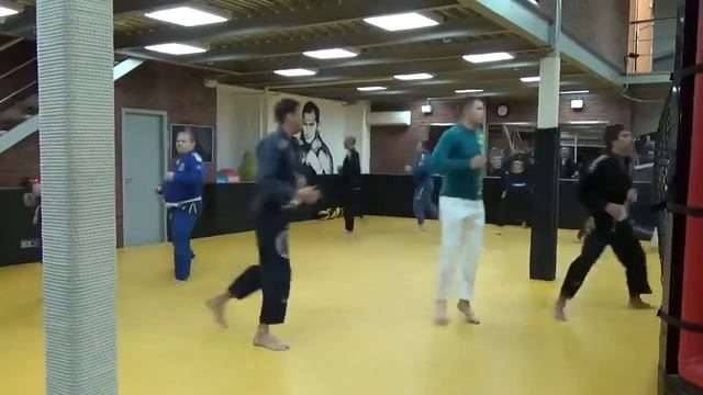 Бразильское Джиу Джитсу