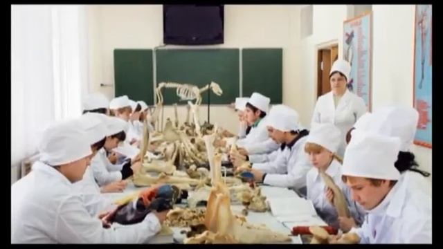 Приглашаем абитуриентов! смотреть онлайн