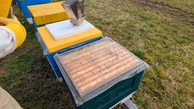 Щоб взяти перший мед вже треба працювати❗ Чистка підмору, утеплення бджіл, наганяєм розплід. смотреть онлайн