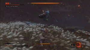 Последний босс Sekiro: Иссин, мастер меча
