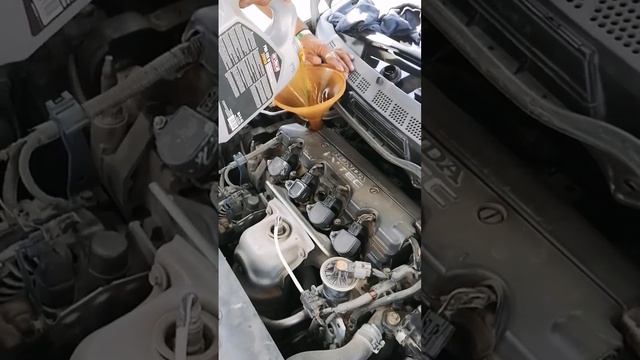 Ardeca 20w50 Honda reborn#reborn #garage #gearoil #engine #vehicle #mechanic #workers #oil смотреть онлайн