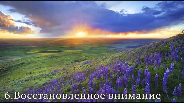 Ален Уоллес Революция внимания часть 1. Аудиокнига