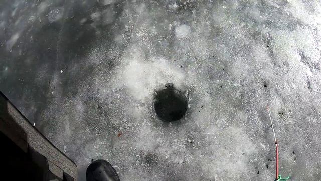 ЗАПАХЛО ВЕСНОЙ! ЖОР ПО ПОСЛЕДНИМУ ЛЬДУ! рыбалка на поплавок. зимняя рыбалка. смотреть онлайн