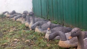 ??КАК ВЫБРАТЬ ЧУЧЕЛА ГУСЯ ДЛЯ ОХОТЫ?