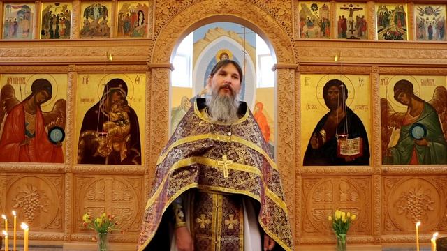 "Покаянный настрой несовместим с тем, чтобы осуждать других людей". Преп. Марии Египетской 2.04.23 смотреть онлайн