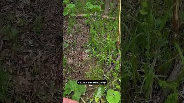 Рыбалка симы смотреть онлайн