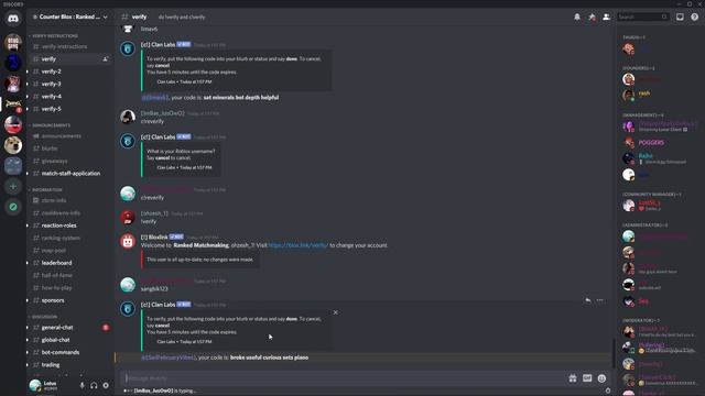 How to Verify on CB:RM (via Clan Labs) смотреть онлайн