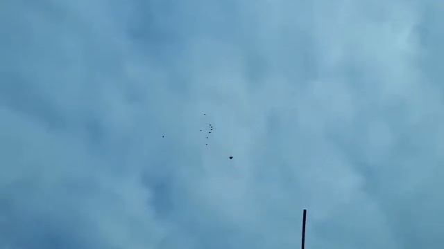 Всех с наступающим Новым Годом! смотреть онлайн