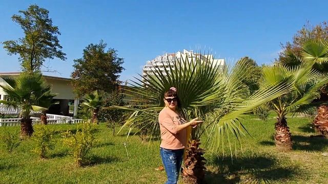 Аква Лоо Сочи смотреть онлайн
