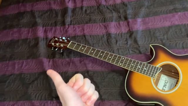 Обзор электроакустической гитары TNC SW-1700 EQ