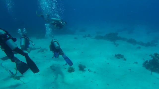 Free Dive смотреть онлайн