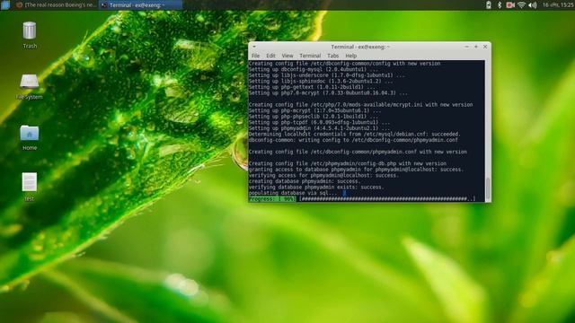 How to install LAMPP on Backbox Linux смотреть онлайн