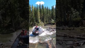 Час работы пилой, руками и ногами и конечно же головой- разобрали затор на реке и идем вверх