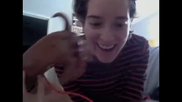 How To Play Doggie Doo from Goliath Games смотреть онлайн