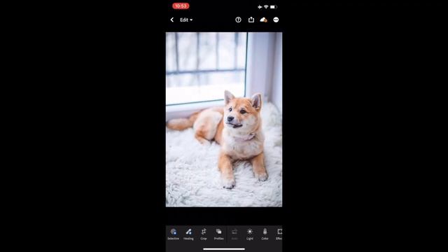 HOW TO INSTAL MOBILE PRESET 2021 ( jak nainstalovat presety do lightroom mobile) смотреть онлайн