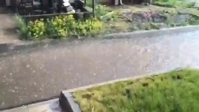 30.05.14 Радуемся дождику смотреть онлайн