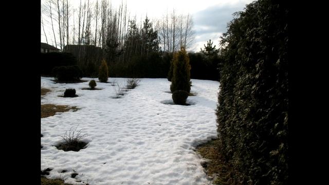 Ваш красивый сад. Деревья и кустарники в саду. Живая изгородь. Цветочные композиции. смотреть онлайн
