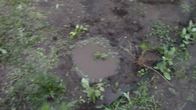 Дачные дела.