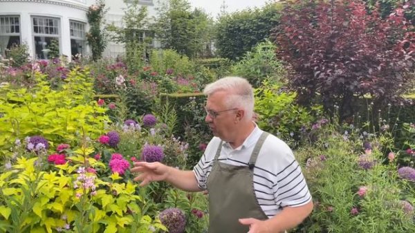 Roses and plant partners