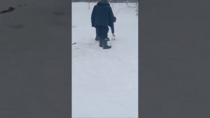 Продолжаем ловить ФОРЕЛЬ! ПОКЛЕВКИ на малом водоеме в King Fish! #shorts #рыбалка #рыбалка2024