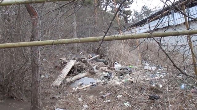 Кисловодск. Прогулка по ул.Горького. 19.02.2022 г. смотреть онлайн