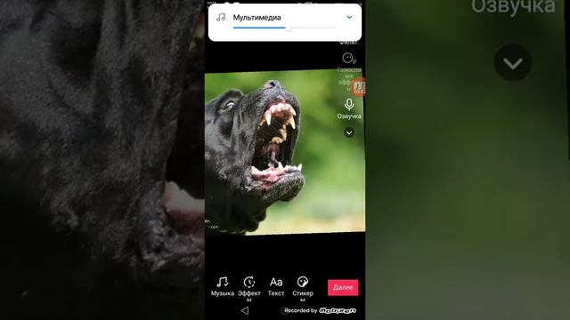 Как сделать Эдит для тик ток смотреть онлайн