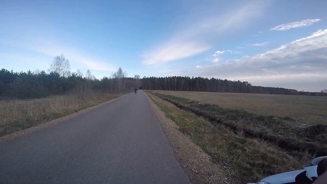 PIAGGIO ZIP | WHEELIES | RIDE THROUGH FOREST | смотреть онлайн
