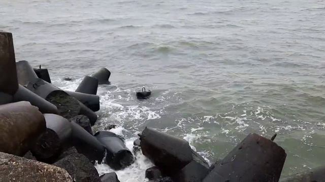 Светлогорск 22-26.23, Балтийск, Зеленоградск, Куршская коса смотреть онлайн