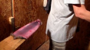 Как правильно обрабатывать шкурки ондатры часть 2